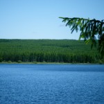 Un petit air de Canada en plein massif central !