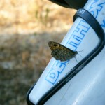 Décathlon, au coeur de la nature ...