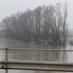 Quand on vous dit qu'il a plu...