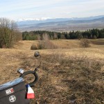 Paradoxe dans son element