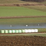 ... dans un lac gele